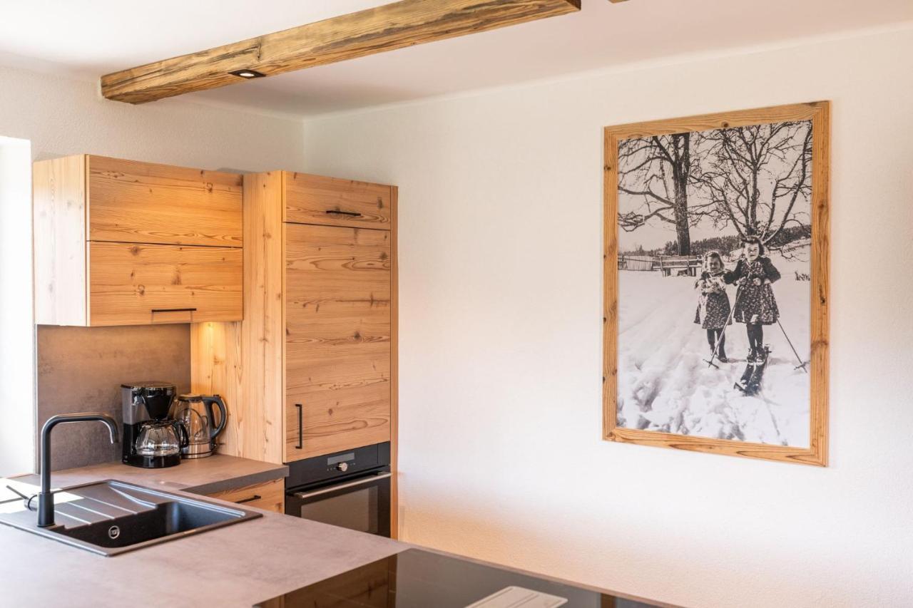 Chalet Kulmberg رامساو أم داتشستين المظهر الخارجي الصورة